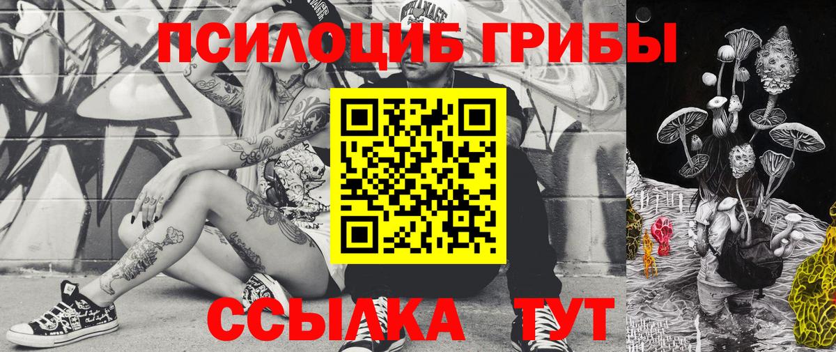 Псилоцибиновые грибы GOLDEN TEACHER Каменка