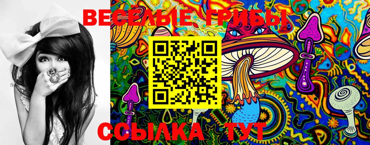 Псилоцибиновые грибы MAGIC MUSHROOMS  Галлюциногенные грибы мухоморы  Вход с VPN  Каменка 